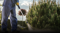  Outdoor & Gardening 